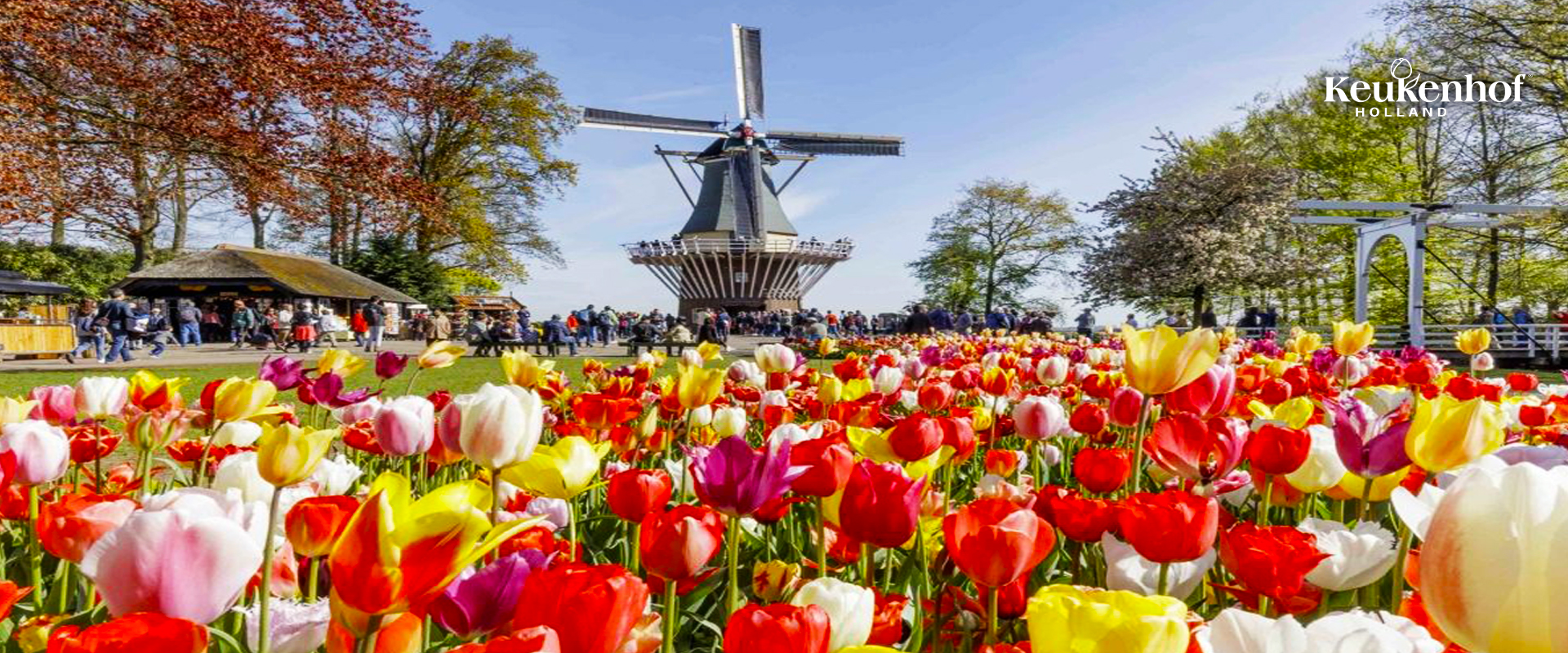 AMESTERDÃO | Uma viagem ideal para esta Primavera | HOLANDA | ALLWAYS