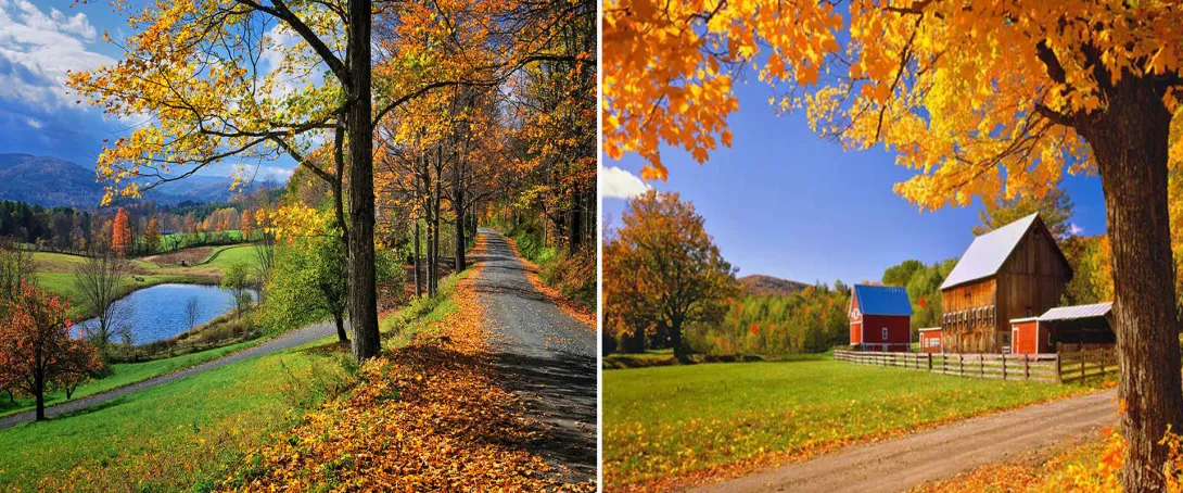 VERMONT | Nova Inglaterra | EUA